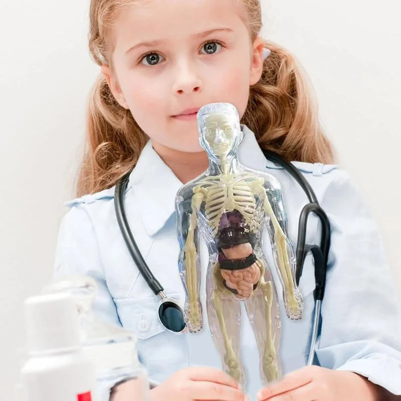 AnaVista™ – Discover the secrets of the human body with practical, astonishing clarity - Image 4