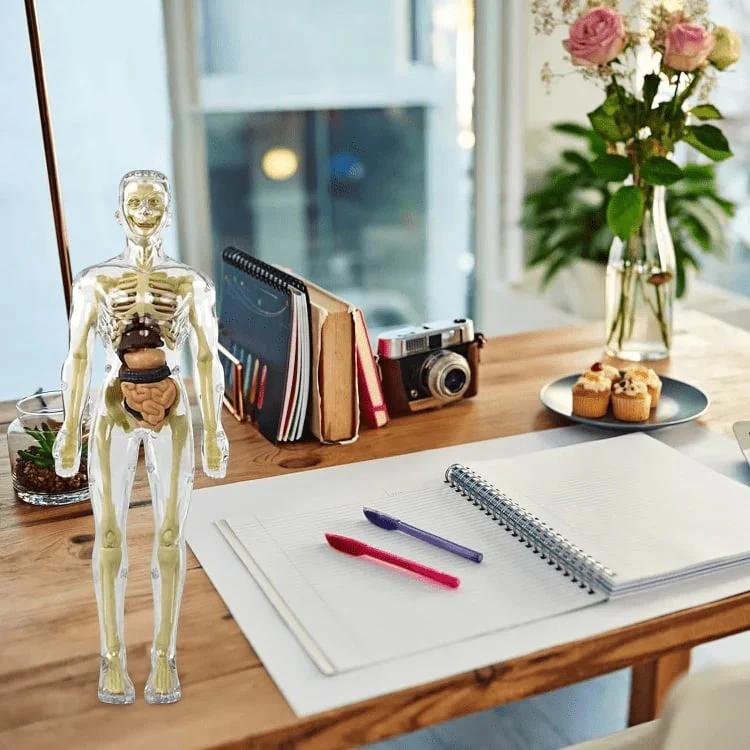 AnaVista™ – Discover the secrets of the human body with practical, astonishing clarity - Image 8
