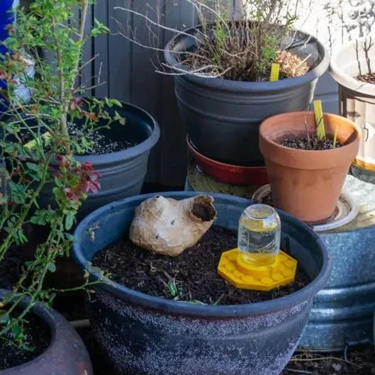Bee Feeder | Bee Water Feeder for Garden | Pollinator Water Station | NectarNest - Image 4