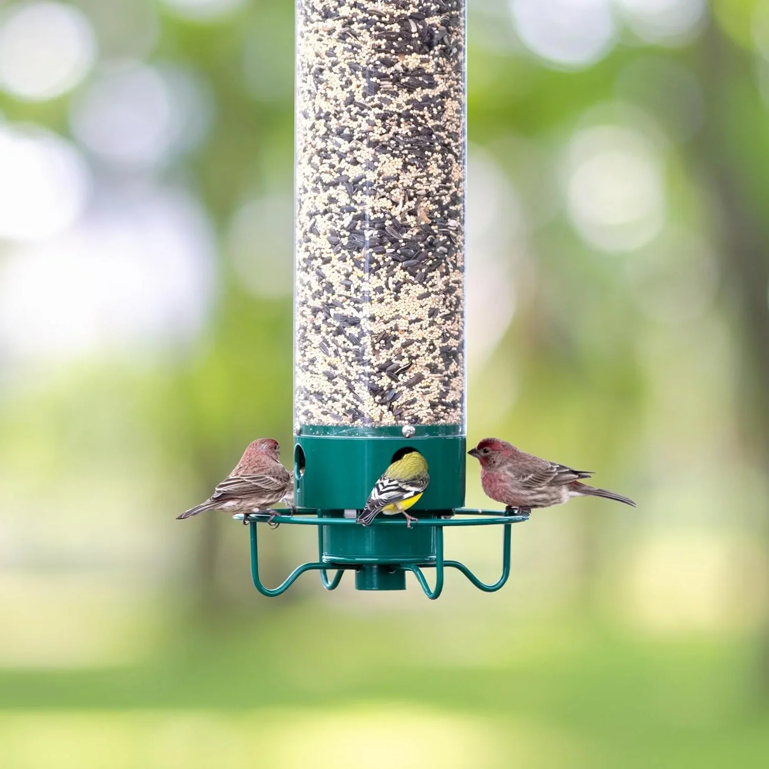 Bird Feeder | Rotating Perch & Large Capacity | Squirrel Proof | BirdGuard - Image 6