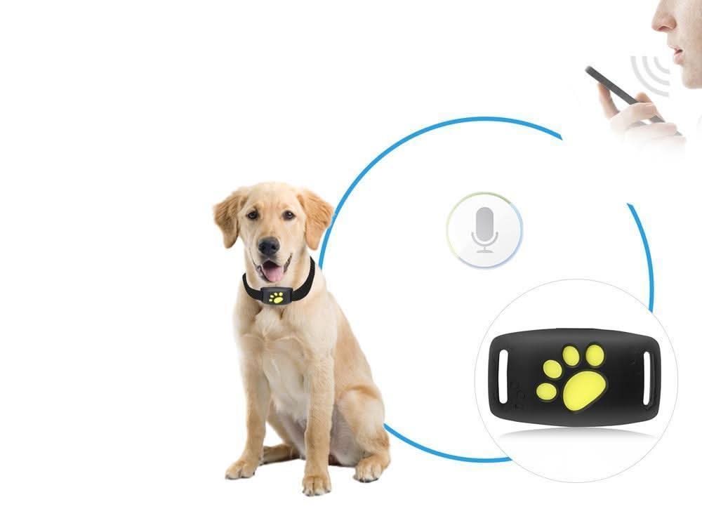 Cat GPS Tracker | Real-Time Cat Tracking | GPS Collar Device | FelineFinder GPS - Image 3