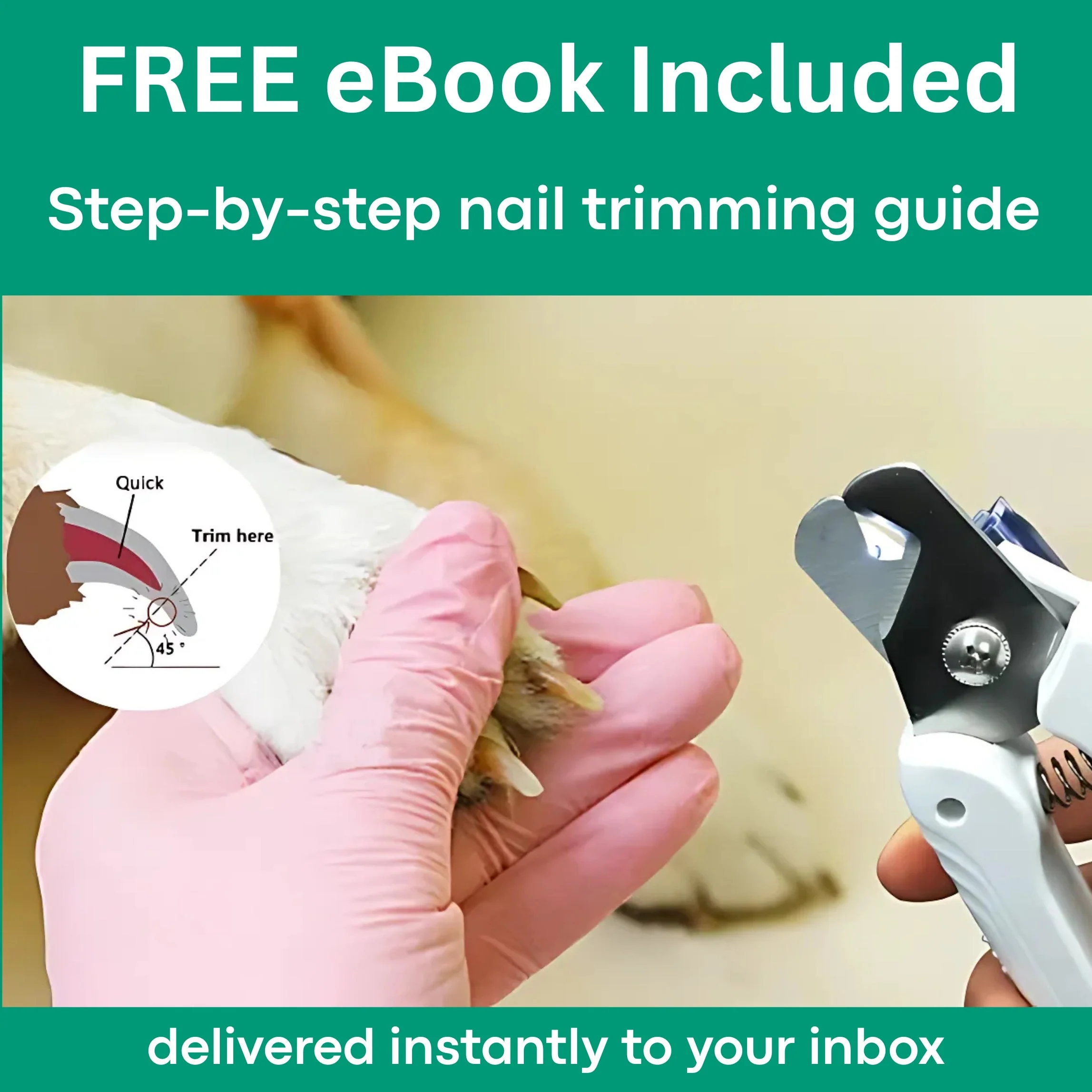 ClariPaw™ — Trim Fearlessly with Perfect Precision and Calm Confidence - Image 5
