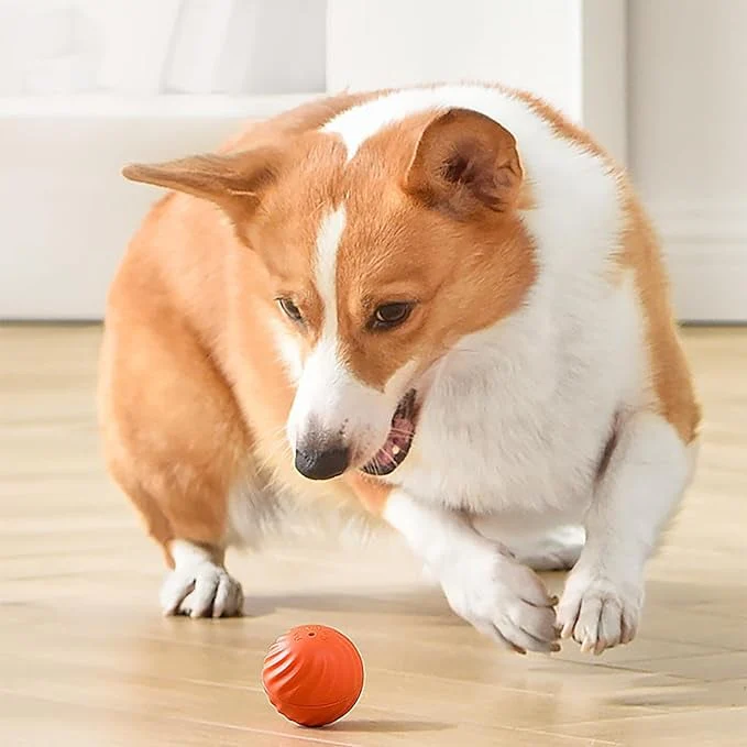 Interactive Dog Toy | Endless Energy Release | Smart Interactive Motion Ball for Dogs | BarkBounce - Image 11
