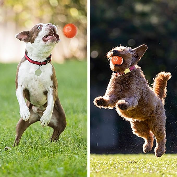 Interactive Dog Toy | Endless Energy Release | Smart Interactive Motion Ball for Dogs | BarkBounce - Image 15