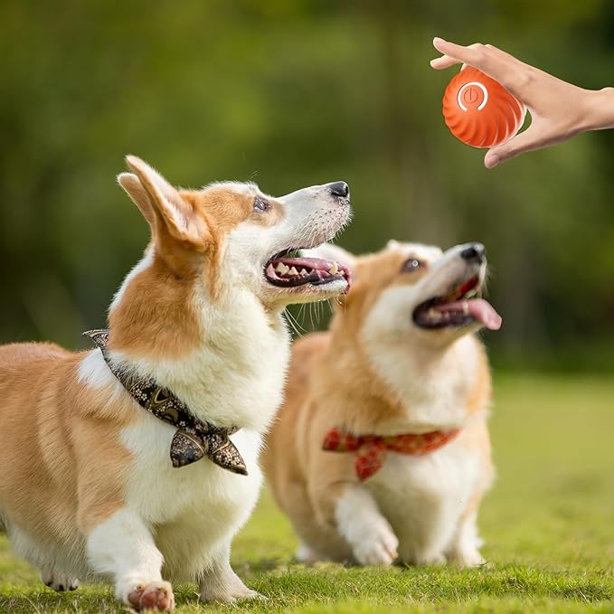 Interactive Dog Toy | Endless Energy Release | Smart Interactive Motion Ball for Dogs | BarkBounce - Image 16