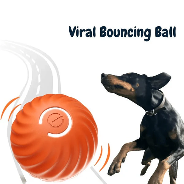 Interactive Dog Toy | Endless Energy Release | Smart Interactive Motion Ball for Dogs | BarkBounce - Image 4