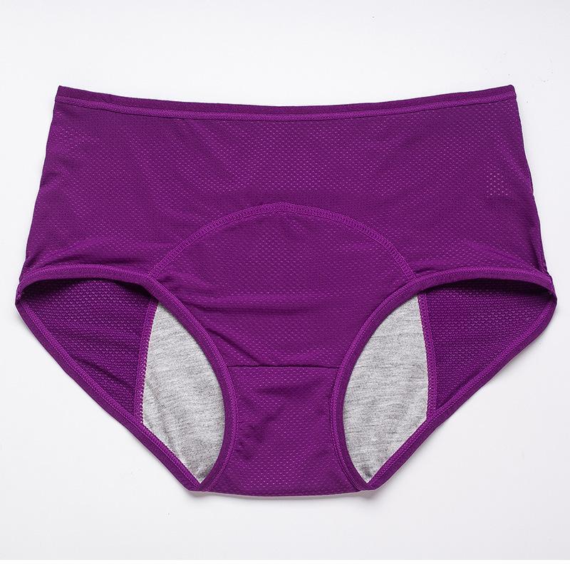Leak Proof Underwear | High-Waisted Fit | Maximum Absorbency | Seraphine - Image 13