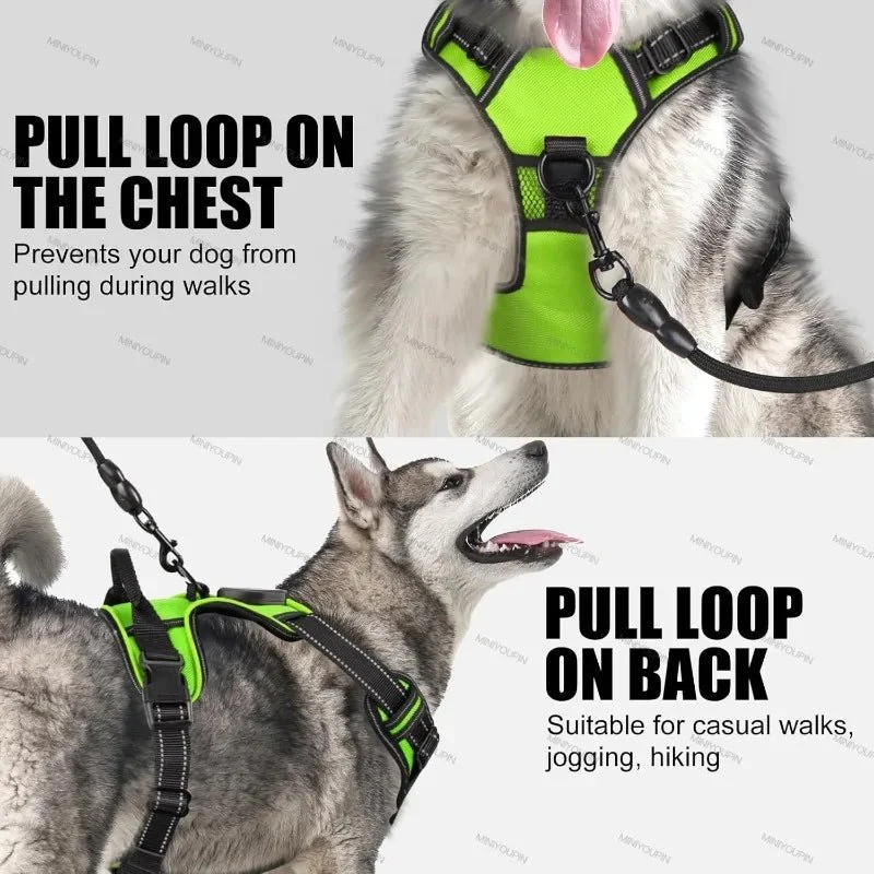 LED dog harness | Rechargeable safety lights | Adjustable no-pull fit | Durable Oxford fabric | ShineDog - Image 4