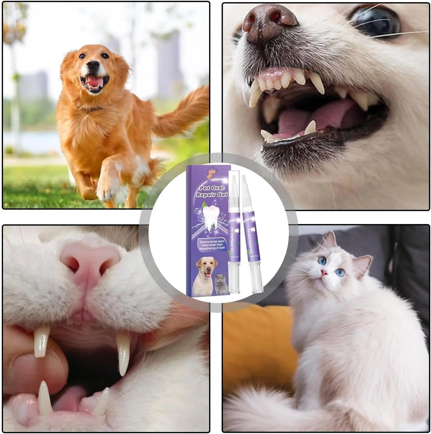 1+1 FREE | OralGlow™ - The ultimate solution for your pet's dental health and fresh breath! - Image 8