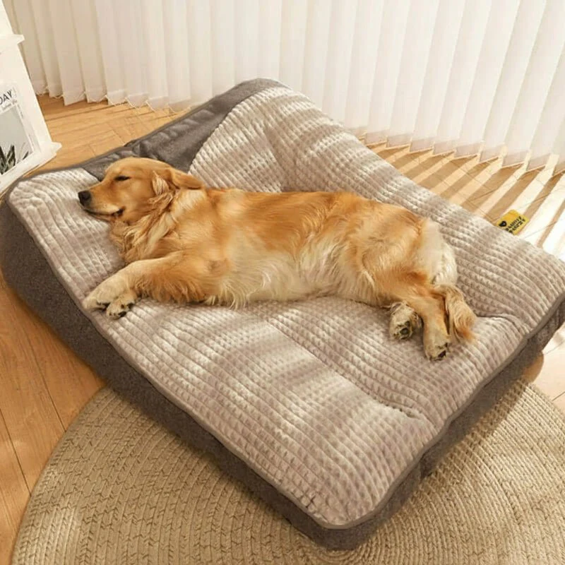 Orthopedic Dog Bed | Scratch Resistant Cover | Raised Bolster Support | HugBed - Image 3