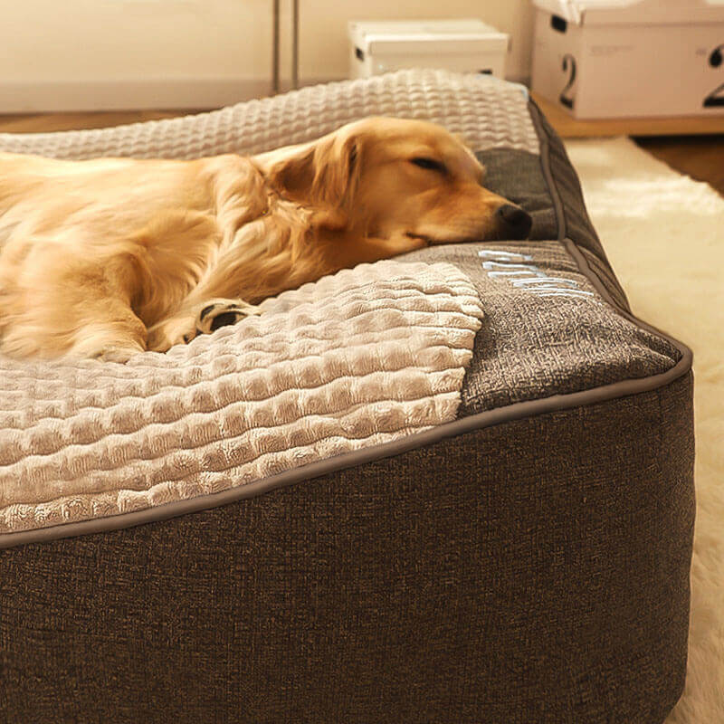 Orthopedic Dog Bed | Scratch Resistant Cover | Raised Bolster Support | HugBed - Image 4