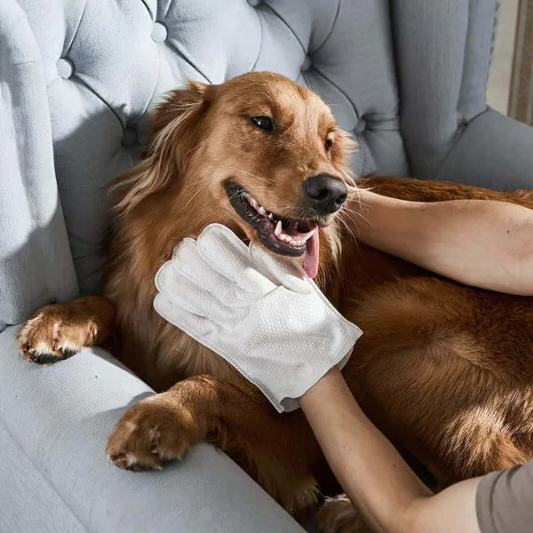 2+2 FREE | PawBreeze™ Grooming Gloves — Instant Pet Care Product for Happier, Cleaner Animals - Image 7
