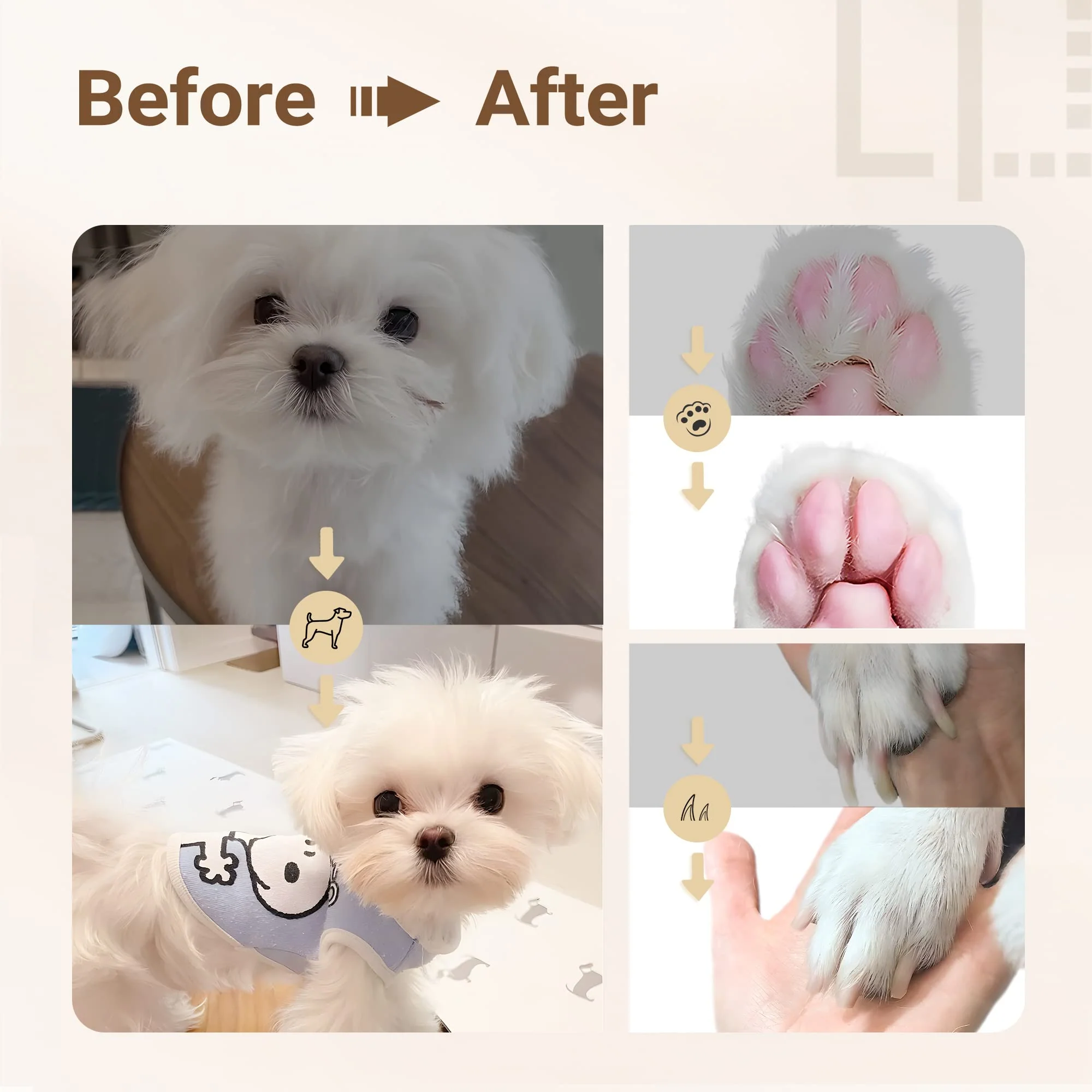 PurePaw™ 4-in-1 Care Set — Calm, Safe Grooming That Deepens Your Bond - Image 7