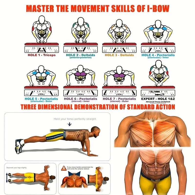 Push-Up Board | Color-Coded Muscle Training | Foldable Design | Full Upper Body Workout | FlexBoard - Image 3