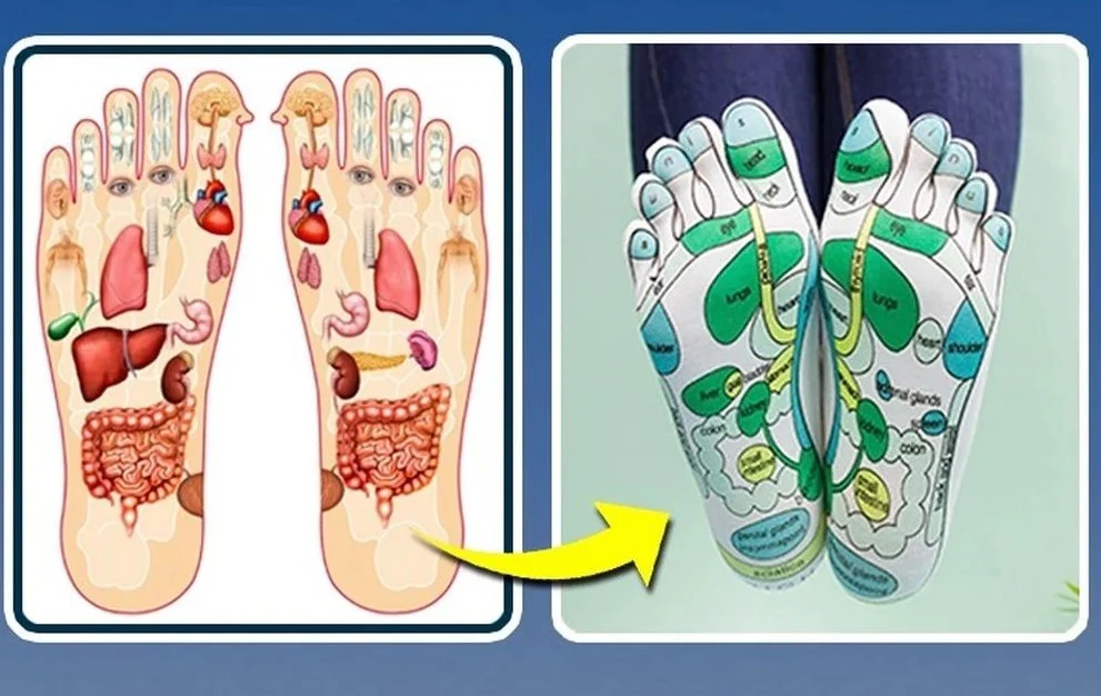 Reflexology Socks | Pressure Point Design | Relaxing Support | Zenfeet Socks - Image 5