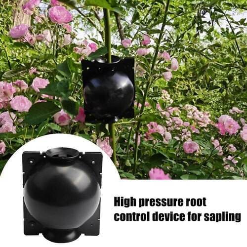 5+5 FREE | RootPro™ Root Balls for Plant Propagation - Image 4