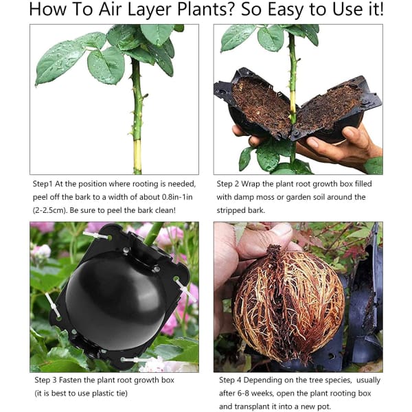 5+5 FREE | RootPro™ Root Balls for Plant Propagation - Image 6