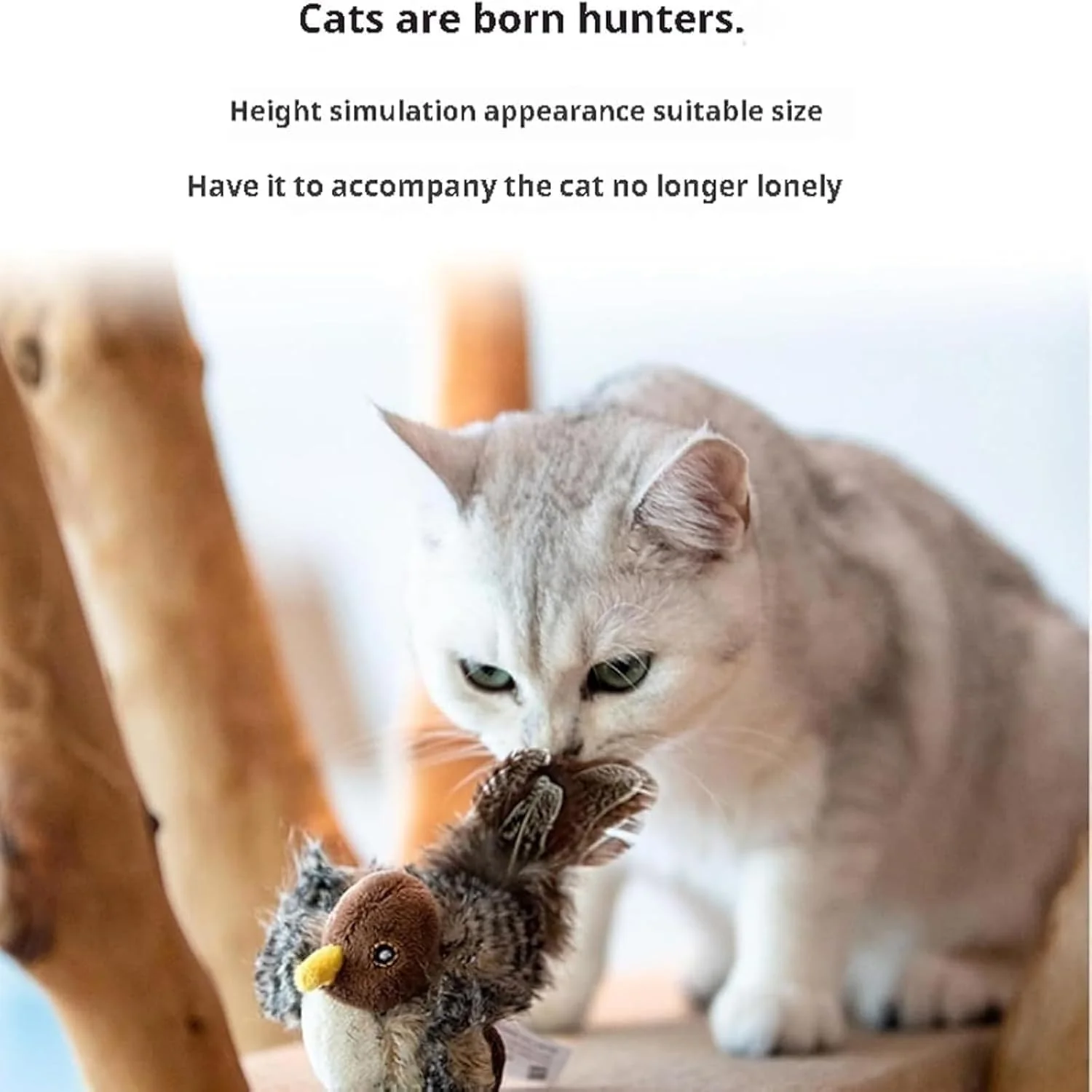 WildFeather™ — Unleash your cat's wild hunt and endless play - Image 5