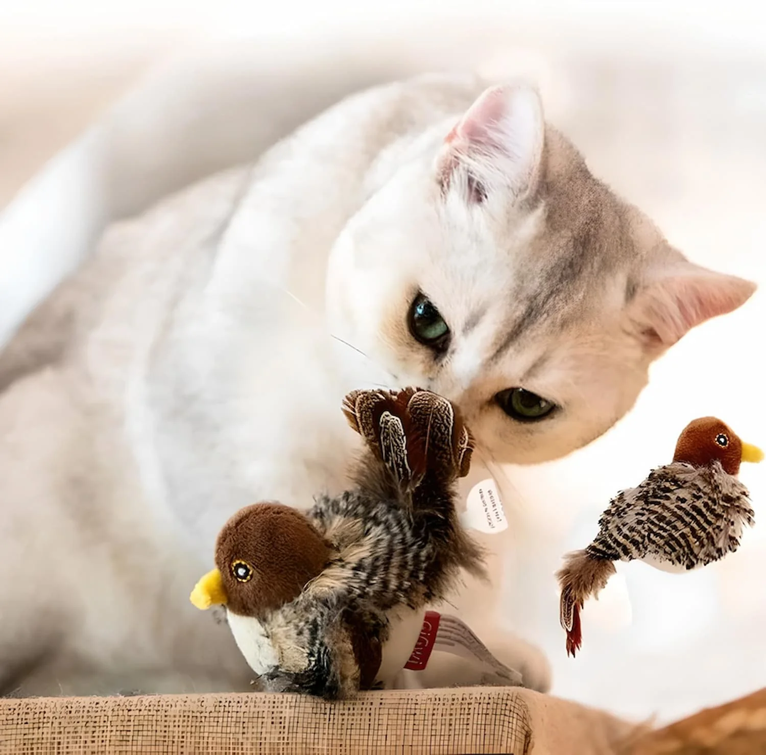 WildFeather™ — Unleash your cat's wild hunt and endless play - Image 6
